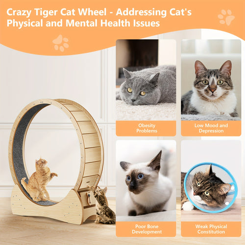 Rennkatzen Roue d'exercice pour chat