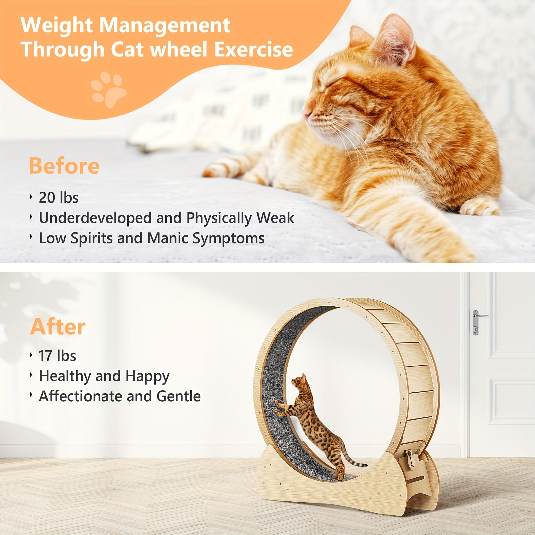 Rennkatzen Roue d'exercice pour chat